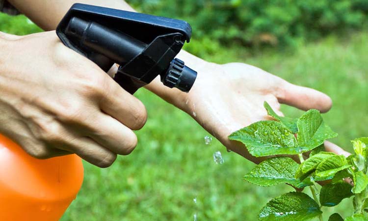Cuida tu huerta con plagicidas
